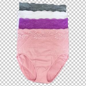 Rhonda Shear Seamless Briefs with Lace Overlay - 4 Pack
